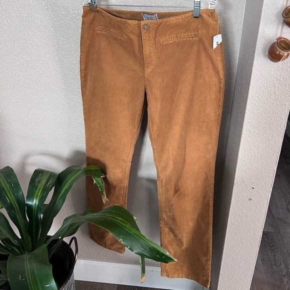 BDG Pants - BDG Corduroy Burnt Orange Flare Pant